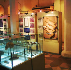 Exhibits at the National Museum